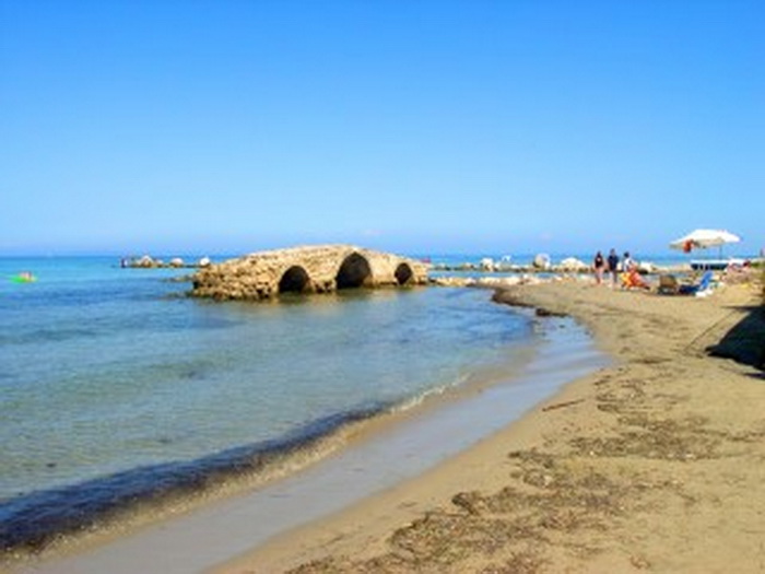 argassi7.jpg