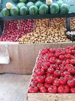 ΤΟ ΠΕΡΙΒΟΛΙ ΤΗΣ ΓΕΙΤΟΝΙΑΣ (Κουφός Γεώργιος Δ.)