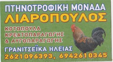 ΛΙΑΡΟΠΟΥΛΟΣ Π. ΙΩΑΝΝΗΣ