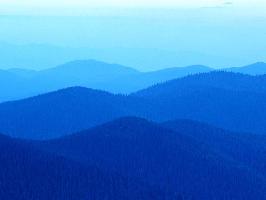 Τζίκας Δημήτριος Κ.