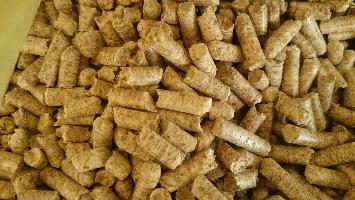 ΣΤΑΜΑΤΙΑΔΗΣ ΔΗΜΗΤΡΙΟΣ