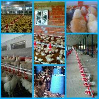 Σαραμούρτσης Νικόλαος Α. (Σαραμούρτσης Νικόλαος Α.)