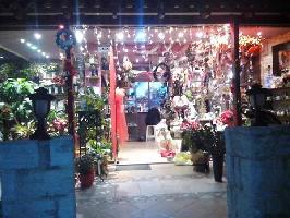 ΔΥΑΝΘΟΣ ΑΝΘΟΠΩΛΕΙΟ - ΒΑΙΛΑΚΗ ΑΙΚΑΤΕΡΙΝΗ