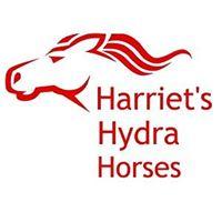 HARRIET HYDRA HORSES Прогулка на лошадях Остров Идра
